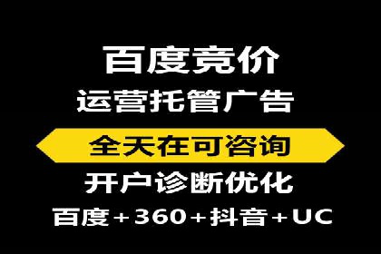 百度推广全攻略：成功案例剖析
